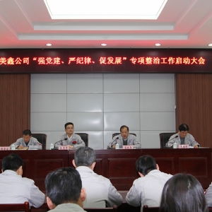 ˾Ѹن(dng)(qing)h(yn)o(j)ɡٰl(f)չ (xing)ι