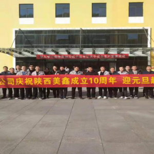 VI˾ekcףι˾10ꡱߡӭԪԽҰِ