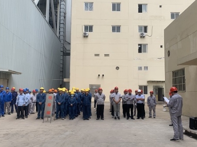 \늏SM_չAϵy}й©¹ʑݾ