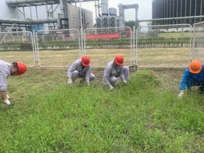 \늏Sl늲h֧_չhIRxճС}hջ