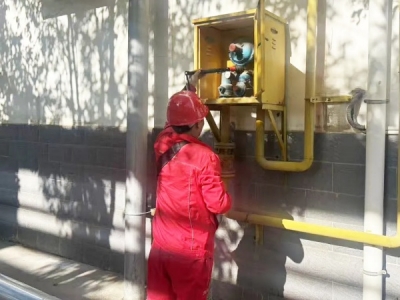 ˾OԴ_չȻ{䡢{헰ȫz